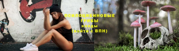 круглые Белокуриха
